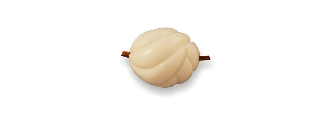 Tagua
