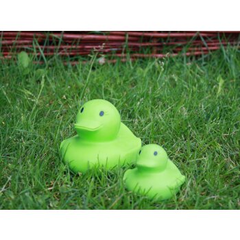 Badeente "Fairy Duck" grün, klein