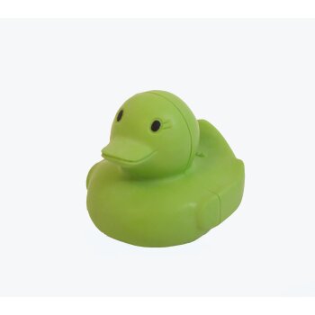 Badeente "Fairy Duck" grün, groß