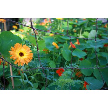 Gemüse- und Blumenranknetz