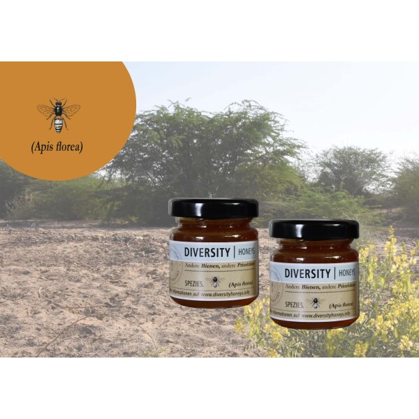 Probierglas: Honig von der Zwergbiene,Rann of Kutch in Indien, 50 g