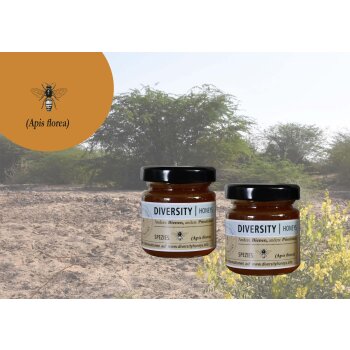 Probierglas: Honig von der Zwergbiene,Rann of Kutch in...