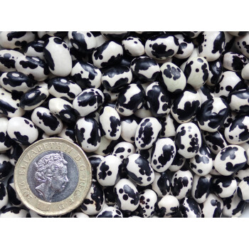 Vaquita Negro Bola, 500g