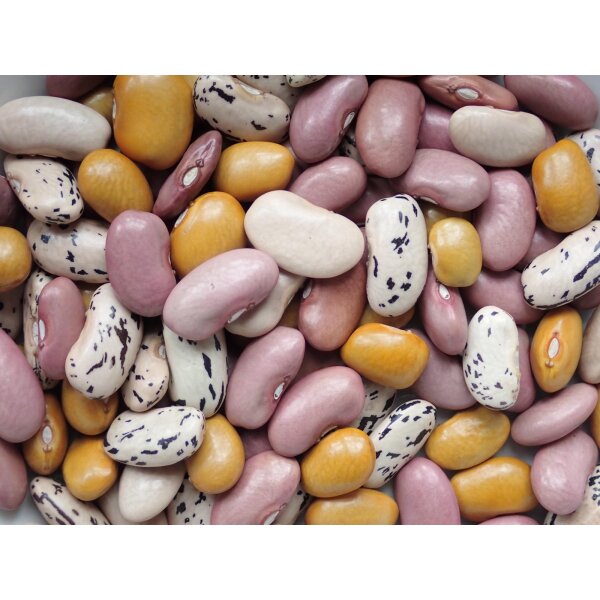 Ensaladilla Amarilla, 500g