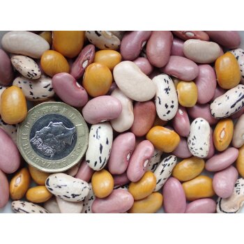 Ensaladilla Amarilla, 500g