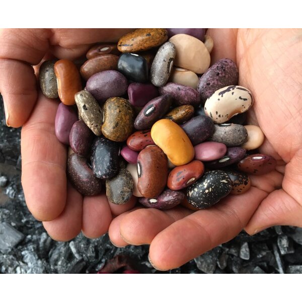 Ayocote Arcoiris, 500g