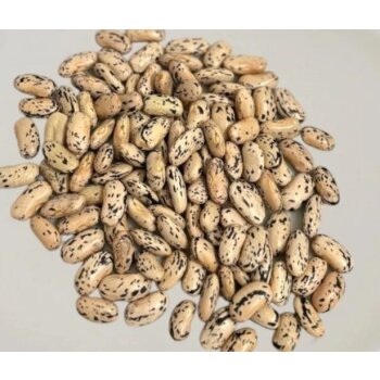 Capuchino, 500g