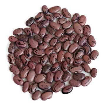 San Francisco, 500g