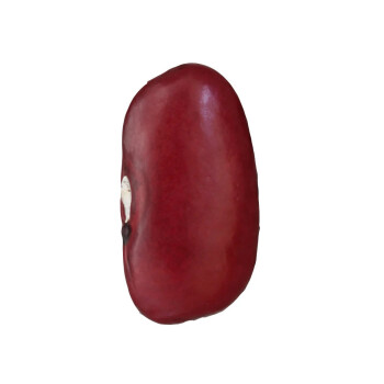 Sangre de Toro, 500g