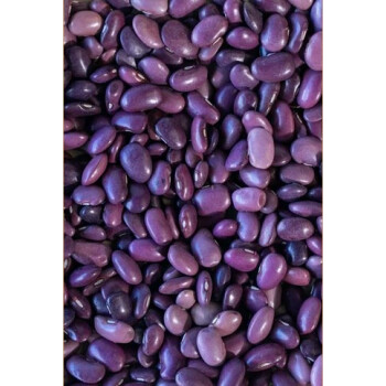 Ayocote Morado, 500g