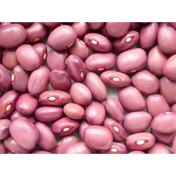 Apetito, 500g
