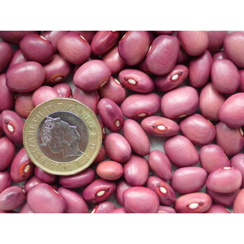 Apetito, 500g