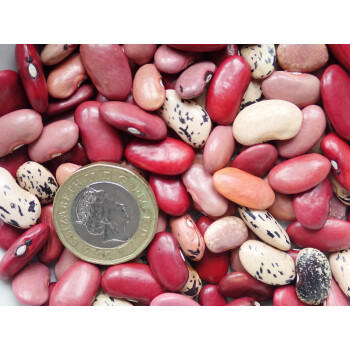 Ensaladilla Rojo, 500g