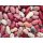 Ensaladilla Rojo, 500g