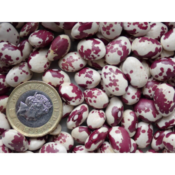 Vaquita Morada, 500g